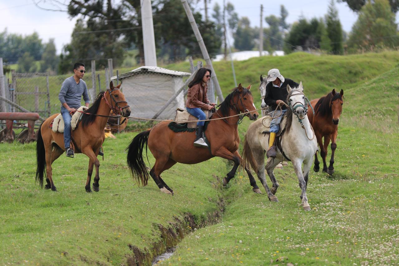 Hosteria Loma Larga Cayambe Zewnętrze zdjęcie